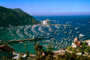 Catalina Island Day Trip