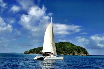 Catamaran Party Cruise and Dunn's River Falls Tour from Falmouth