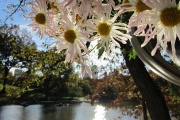 Central Park Hidden Secrets Tour