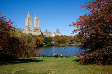 Central Park Photography Tour