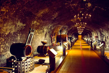 Champagne Day Tour from Paris : Reims, Mumm cellars visit, Champagne Tasting
