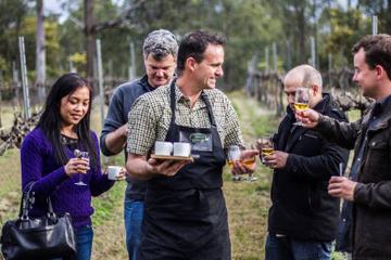 Chef-Led Hunter Valley Gourmet Food and Wine Day Trip from Sydney