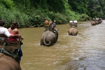Chiang Dao Elephant Jungle Trek and Ping River Rafting Tour from Chiang Mai