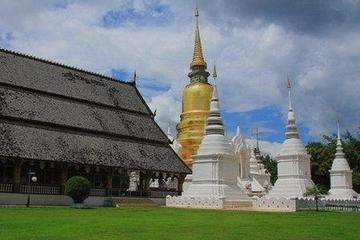 Chiang Mai Small-Group Cultural Tour