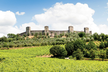 Chianti and Siena Half Day Tour with Dinner in Piazza del Campo