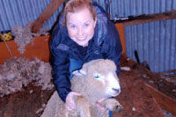 Christchurch Sheep Farm Visit