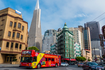 City and Sea Adventure: San Francisco Bay Cruise Including Hop-On Hop Off Tour