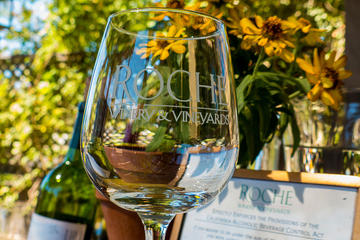 City and Wine: Half Day Sonoma Wine Tour plus Downtown Tour Hop on Hop off