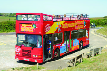 City Sightseeing Eastbourne Hop-On Hop-Off Tour