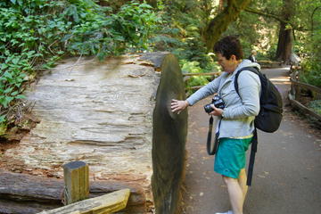 Coastal Redwoods Tour with 1-Hour Golden Gate Bay Cruise from San Francisco