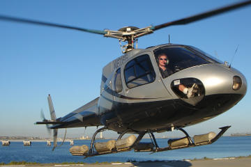 Coastal Sights Helicopter Tour from Long Beach
