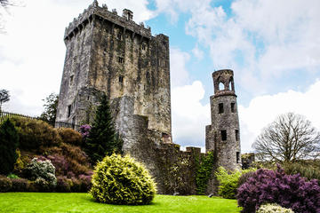 Cobh Shore Excursion: Blarney Castle, Cork City and Kinsale Private Tour