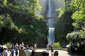 Columbia Gorge Waterfalls and Wine Tour from Portland