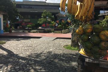 Combo Tour: Medellín City Tour and Antioquia’s Food Markets Including Traditional Lunch Combo Tour: Medellín City Tour and Antioquia’s Food Markets Including Traditional Lunch