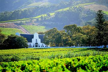 Constantia Wine Tour from Cape Town