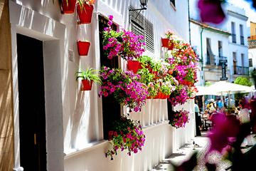 Cordoba Charm: 2-Hour Guided Walking Tour