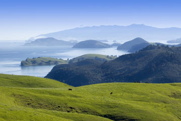 Coromandel Ferry Ticket from Auckland