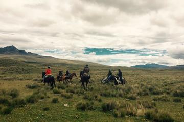 Cotopaxi Horseback Riding Tour from Quito
