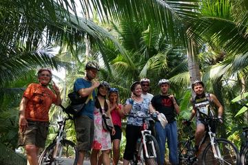 Countryside Bike Tour Including Floating Markets and Canal Boat Ride