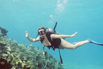 Cozumel Diving Day Trip from Cancun