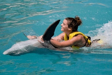 Cozumel Dolphin Swim and Ride Program