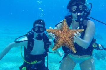 Cozumel Shore Excursion: Discover Scuba Diving Course