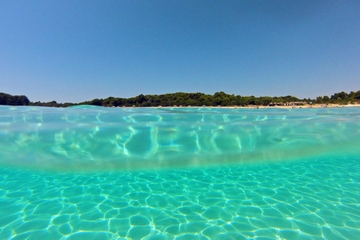 Croatia Islands Speedboat Experience