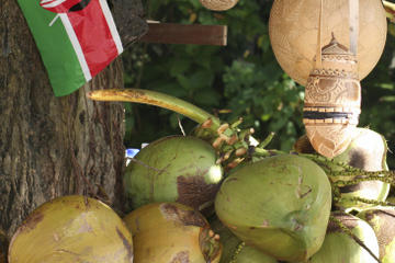 Croydon Plantation with Jamaican Lunch