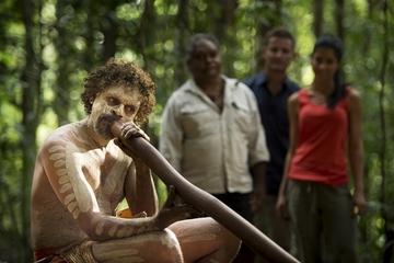 Daintree Rainforest and Mossman Gorge Eco-Tour