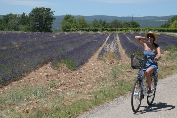 Day in Provence on electric bike