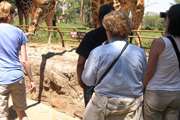 Day Tour from Nairobi: David Sheldrick Elephant Orphanage and Giraffe Center