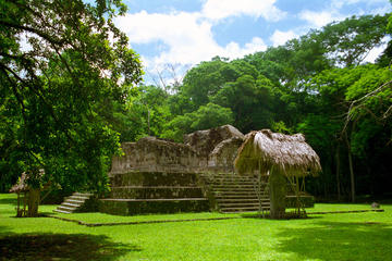 Day Trip to Ceibal Archaeological Site
