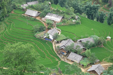 Day Trip to Hoang Lien National Park Including Trekking and Village Visit