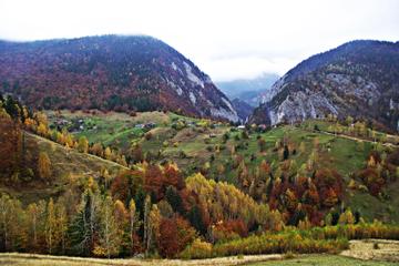Day Trip to Peles Castle and Piatra Craiului National Park from Bucharest