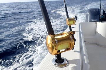 Deep Sea Fishing Adventure
