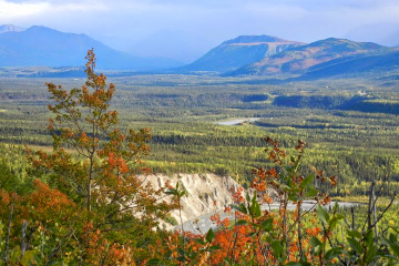 Denali National Park Trail Walk