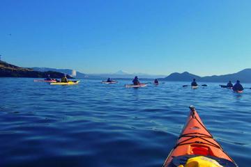 Deschutes River Kayaking Tour from Bend