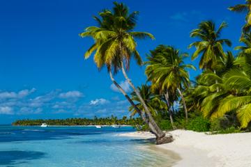 Dickenson Bay Beach Day at Beachfront Resort in Antigua