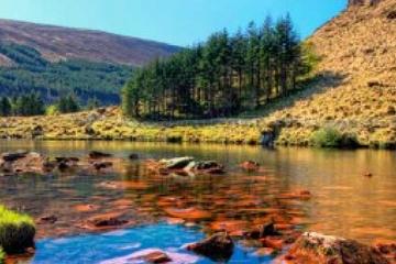Dingle Peninsula Tour from Limerick