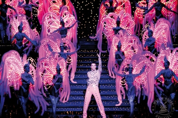 Dinner and Show at the Paris Moulin Rouge with Transport