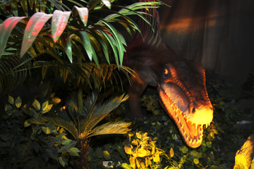 Dinoscovery and Aquaria KLCC Admission with Round-Trip Transfer