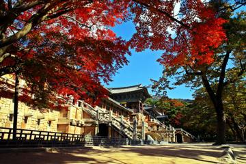 Discover Korea: 4-Day Eastern Korea Tour Including Seoul and Busan