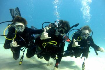 Discover Scuba Diving from Waikiki
