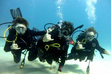 Discover Scuba Diving from Waikiki