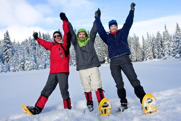 Dog Sledding and Snowshoeing Winter Adventure from Anchorage