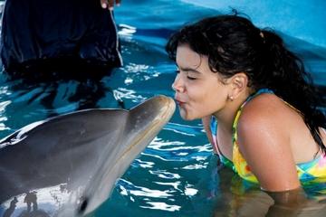 Dolphin Encounter at Ocean World
