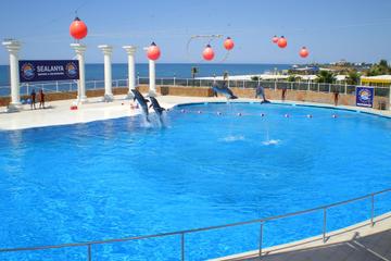 Dolphin Show at Sealanya from Side