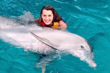 Dolphin Swim Adventure Including Aquaventuras Park Entrance