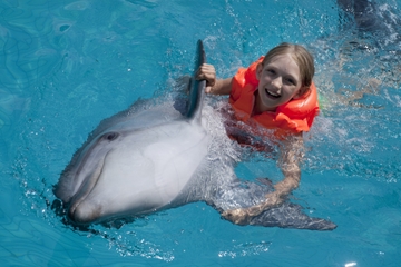 Dolphin Swim and Ride Program in Cancun