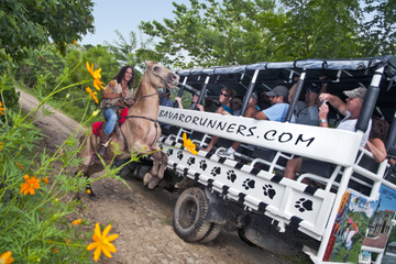 Dominican Republic Countryside Safari Tour from Punta Cana